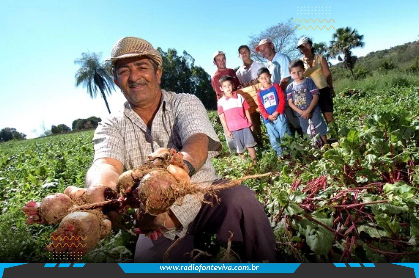 Agricultura Familiar recebe R$ 834 milhões para fortalecer produção e beneficiar mais de 80 mil famílias no Ceará