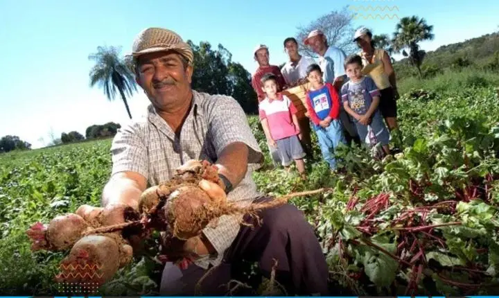 Agricultura Familiar recebe R$ 834 milhões para fortalecer produção e beneficiar mais de 80 mil famílias no Ceará